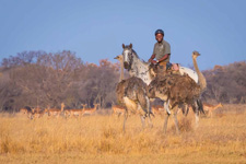 South Africa-Waterberg/Mashatu-African Explorer Horse Safari